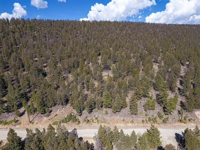 1787 Redhill Rd, Fairplay, CO 80440