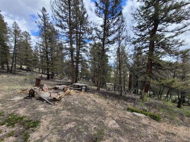 1787 Redhill Rd, Fairplay, CO 80440