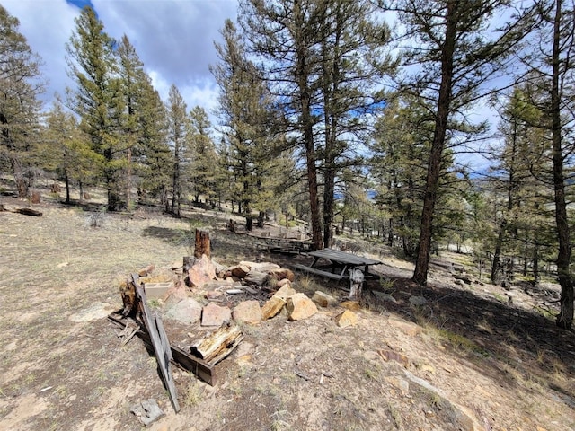 1787 Redhill Rd, Fairplay, CO 80440