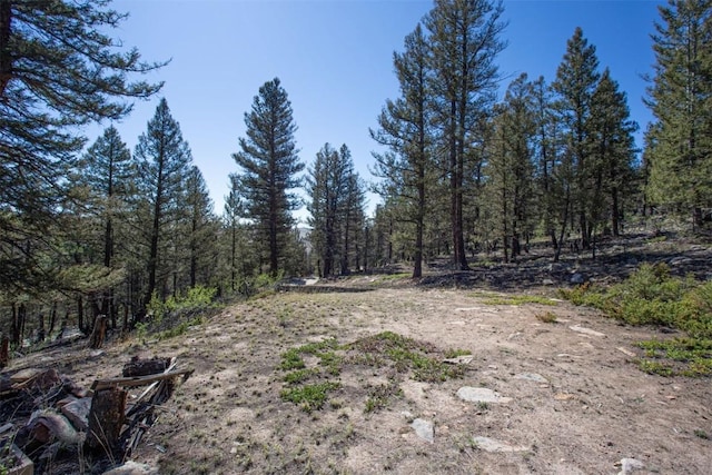 1787 Redhill Rd, Fairplay, CO 80440