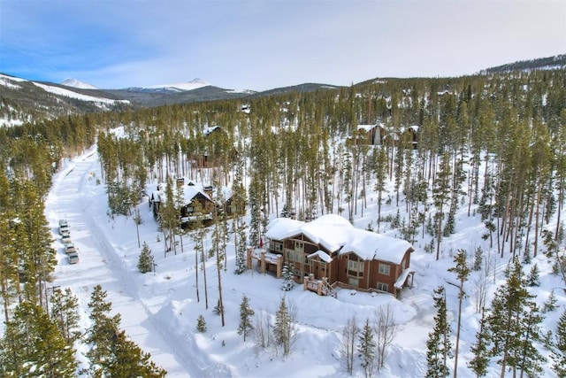 snowy aerial view featuring a mountain view and a forest view