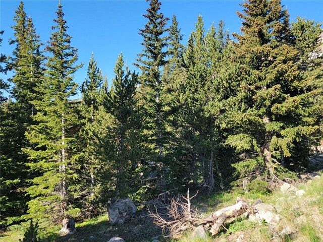 22 Rons Rd, Alma, CO 80420 - photo 9
