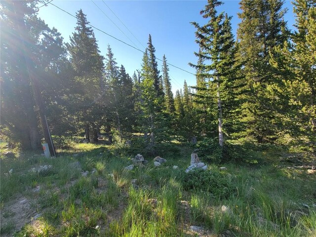 22 Rons Rd, Alma, CO 80420 - photo 23
