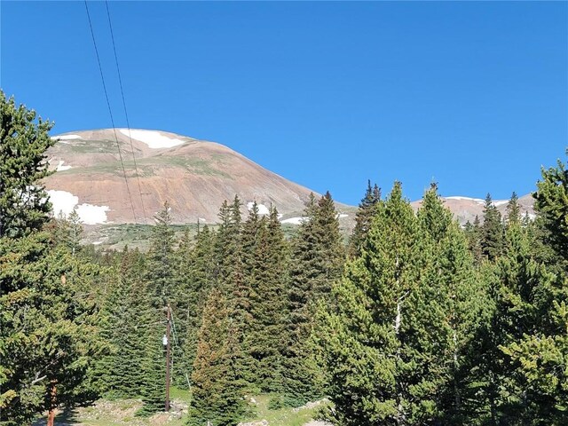 22 Rons Rd, Alma, CO 80420 - photo 10
