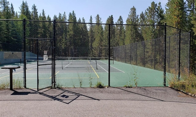 1118 Penstemon Rd, Dillon, CO 80435 - view of tennis court