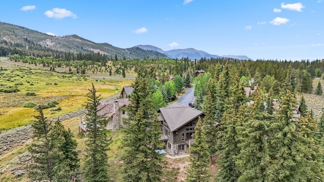 1118 Penstemon Rd, Dillon, CO 80435 - bird's eye view of a heavily wooded area and a mountain backdrop