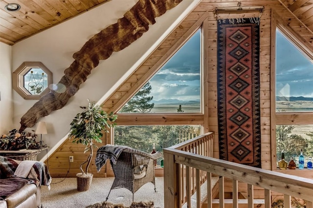 664 Tonkawa Rd, Hartsel, CO 80449 - bonus room featuring carpet floors, healthy amount of natural light, lofted ceiling, and wooden ceiling