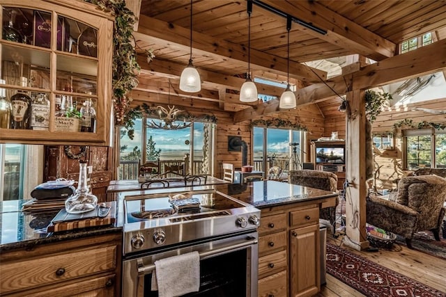664 Tonkawa Rd, Hartsel, CO 80449 - kitchen featuring stainless steel electric range, light wood-style flooring, wood ceiling, open floor plan, and dark stone counters