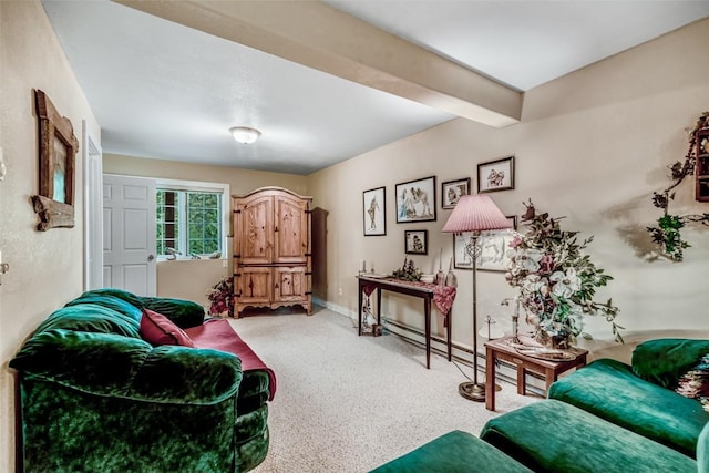 664 Tonkawa Rd, Hartsel, CO 80449 - living room with carpet flooring and a baseboard heating unit