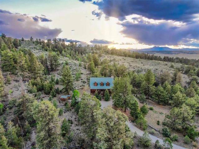 664 Tonkawa Rd, Hartsel, CO 80449 - aerial view of property and surrounding area featuring mountains