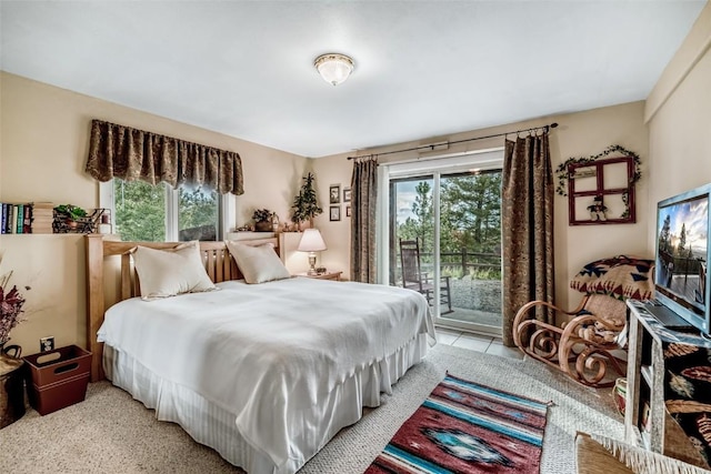 664 Tonkawa Rd, Hartsel, CO 80449 - bedroom featuring access to outside