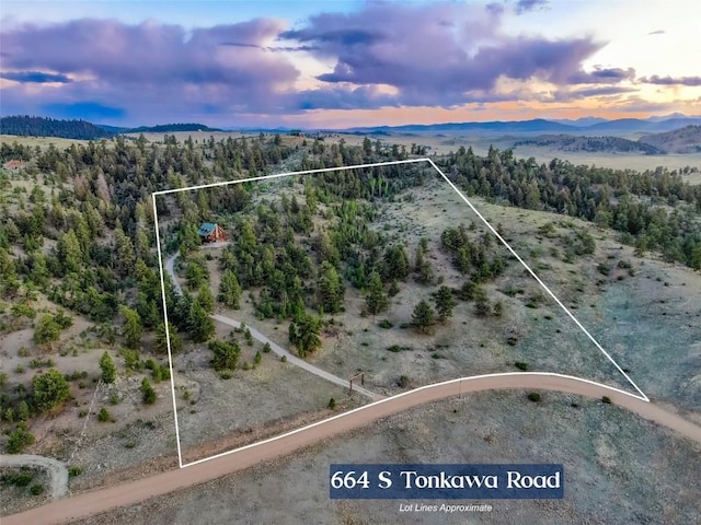 664 Tonkawa Rd, Hartsel, CO 80449 - view of property location featuring property parcel outlined and a mountain backdrop