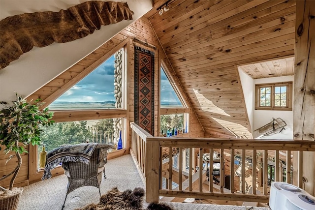 664 Tonkawa Rd, Hartsel, CO 80449 - bonus room featuring wood walls, wood ceiling, lofted ceiling, and carpet