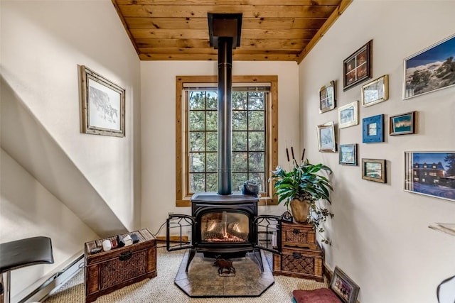 664 Tonkawa Rd, Hartsel, CO 80449 - living area featuring a wood stove, wooden ceiling, carpet, and lofted ceiling