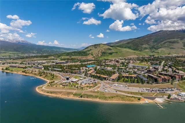 112 E Ln Bonte St Unit 303, Dillon, CO 80435 - photo 47