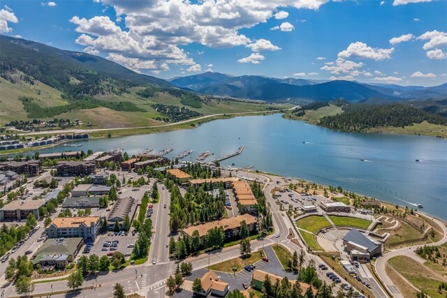 112 E Ln Bonte St Unit 303, Dillon, CO 80435 - photo 44