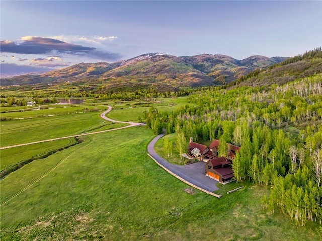 33225 Painted Pony Ln, Steamboat Springs, CO 80487 - view of mountain background