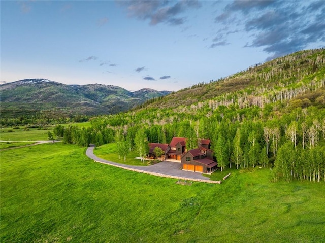 33225 Painted Pony Ln, Steamboat Springs, CO 80487 - view of mountain background