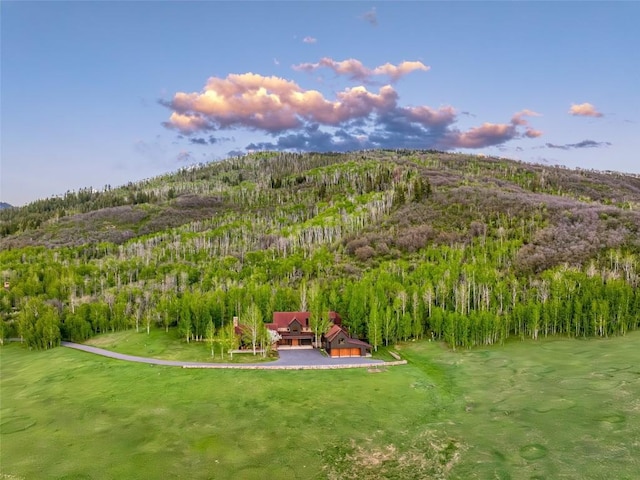 33225 Painted Pony Ln, Steamboat Springs, CO 80487 - aerial view of property and surrounding area with a forest