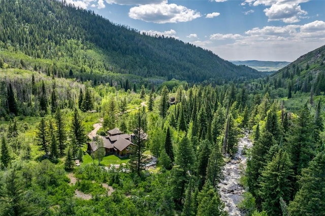 33225 Painted Pony Ln, Steamboat Springs, CO 80487 - mountain view featuring a forest