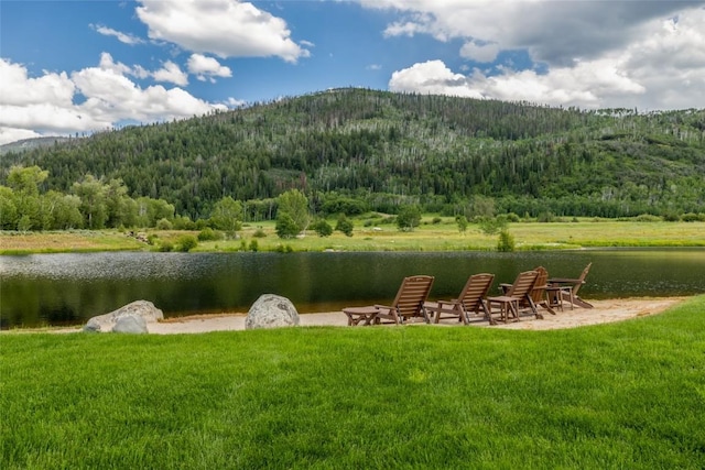 33225 Painted Pony Ln, Steamboat Springs, CO 80487 - view of green lawn with a forest view and a water and mountain view
