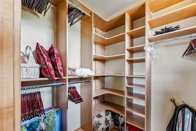 200 Rachel Ln, Breckenridge, CO 80424 - view of walk in closet