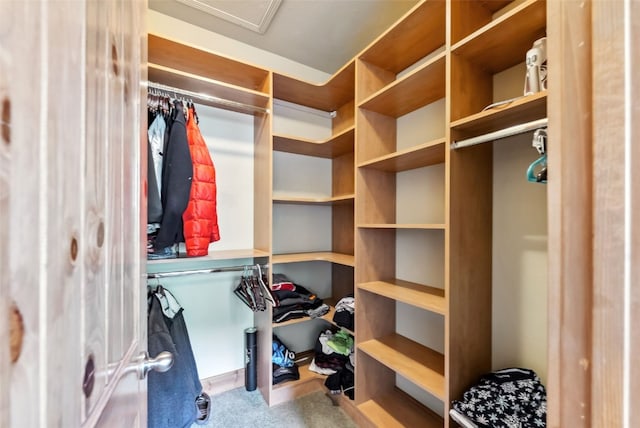 200 Rachel Ln, Breckenridge, CO 80424 - spacious closet with carpet flooring