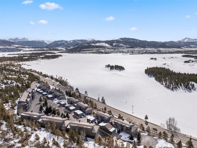 1610 Lakeview Ter Unit A101, Frisco, CO 80443 - photo 39