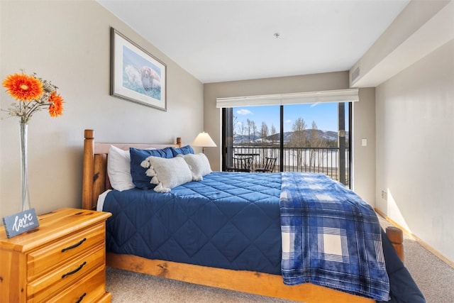 1610 Lakeview Ter Unit A101, Frisco, CO 80443 - photo 35
