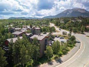 8017 Ryan Gulch Rd Unit B8, Wildernest, CO 80498 - photo 1