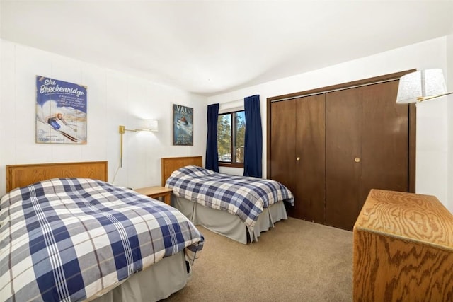 bedroom featuring carpet and a closet