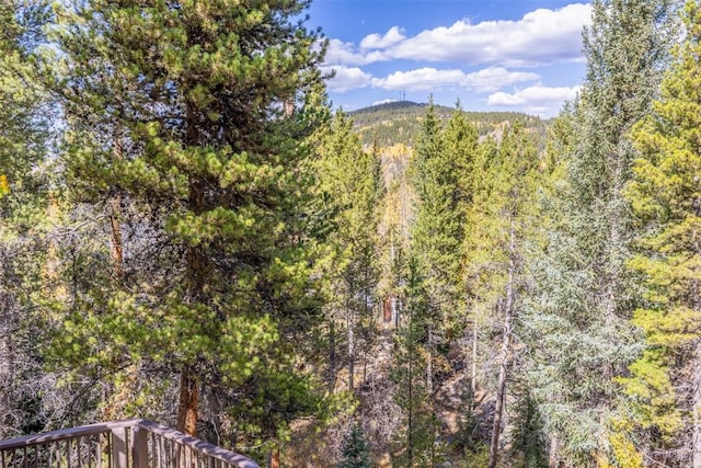 537 Moonstone Rd, Breckenridge, CO 80424 - mountain view with a heavily wooded area