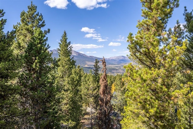 537 Moonstone Rd, Breckenridge, CO 80424 - view of mountain background with a forest