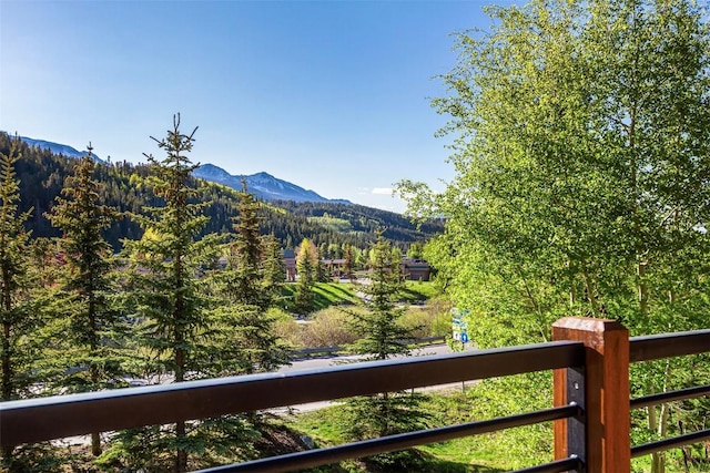 114 Luisa Dr, Breckenridge, CO 80424 - photo 43