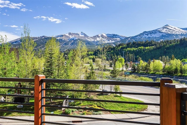 114 Luisa Dr, Breckenridge, CO 80424 - photo 42