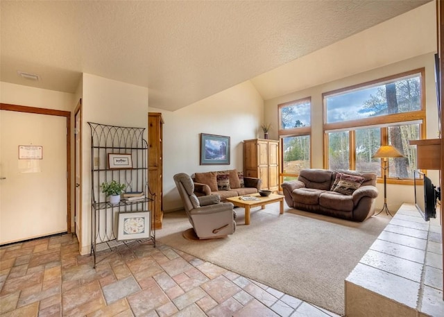 living area with stone finish flooring, a textured ceiling, and vaulted ceiling