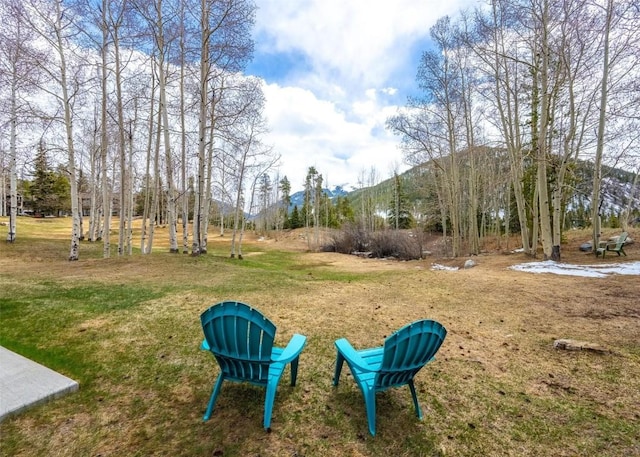 view of yard with a mountain view