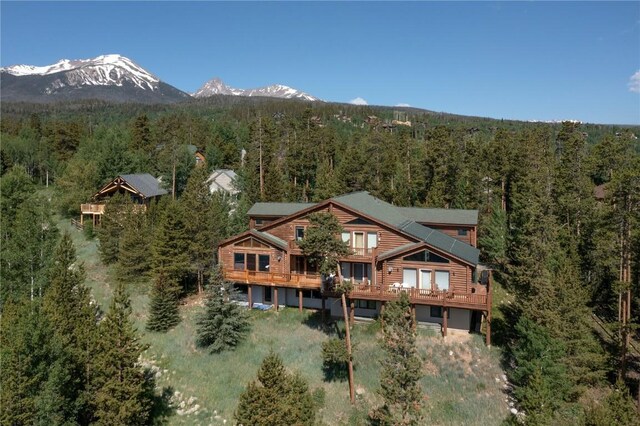 324 Black Hawk Cir, Silverthorne, CO 80498 - photo 47