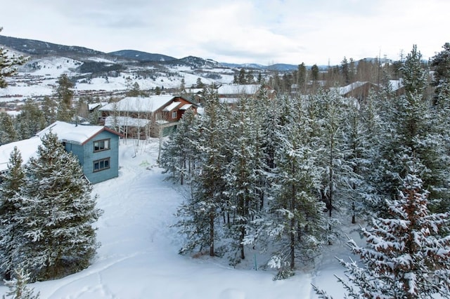 324 Black Hawk Cir, Silverthorne, CO 80498 - photo 43