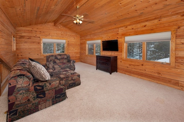 324 Black Hawk Cir, Silverthorne, CO 80498 - photo 21
