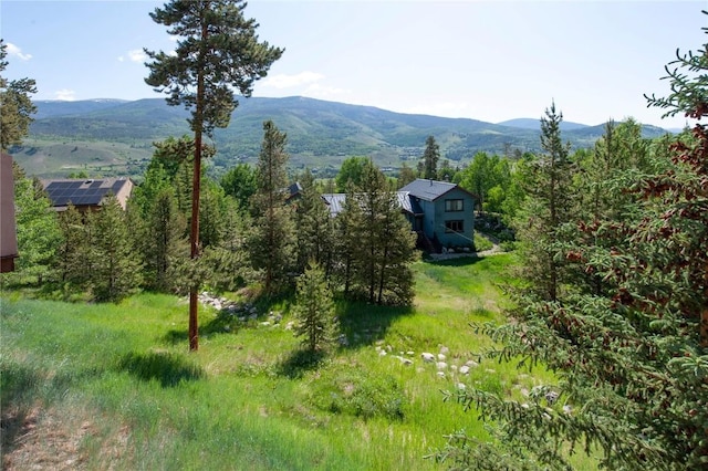 324 Black Hawk Cir, Silverthorne, CO 80498 - photo 42