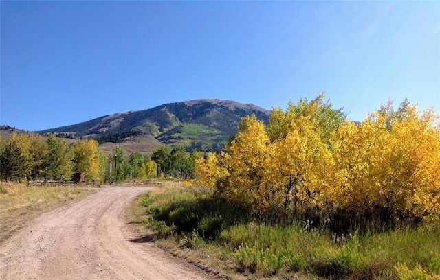 1703 Elk Run Rd, Silverthorne, CO 80498 - photo 2