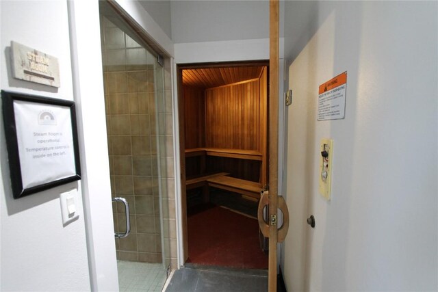 172 Copper Cir Unit 101, Copper Mountain, CO 80443 - view of sauna featuring tile patterned flooring
