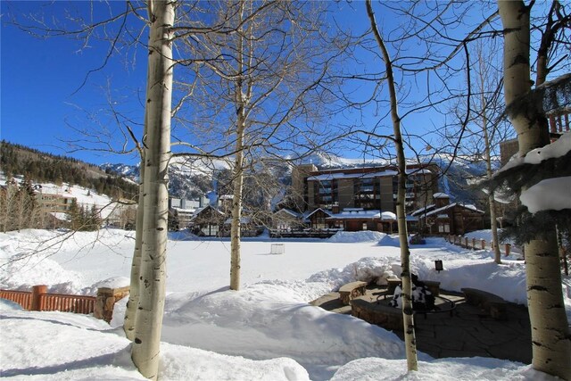 172 Copper Cir Unit 101, Copper Mountain, CO 80443 - view of yard covered in snow