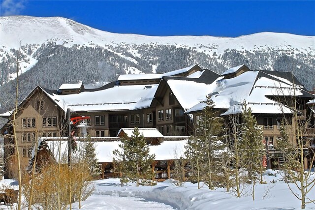 172 Copper Cir Unit 101, Copper Mountain, CO 80443 - view of mountain feature