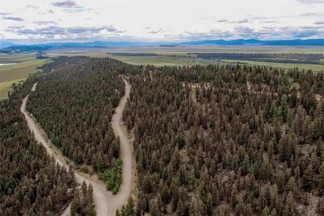 225 Trout Creek Rd, Fairplay, CO 80440 - photo 19