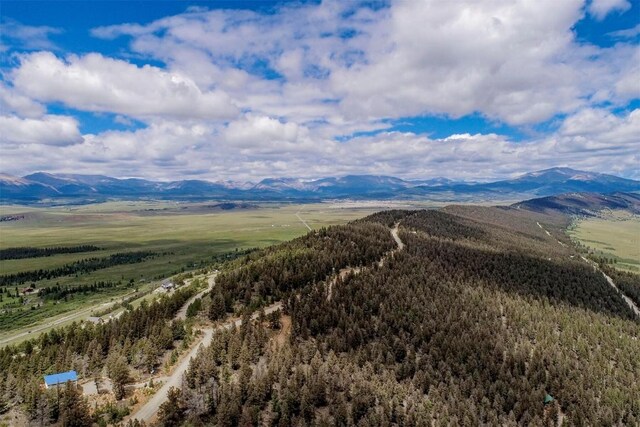 225 Trout Creek Rd, Fairplay, CO 80440 - photo 34