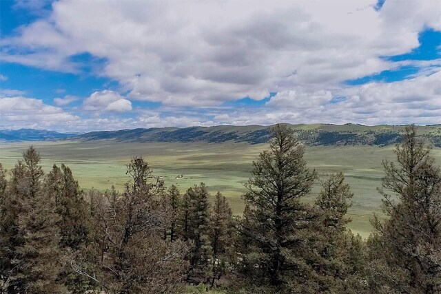 225 Trout Creek Rd, Fairplay, CO 80440 - photo 32