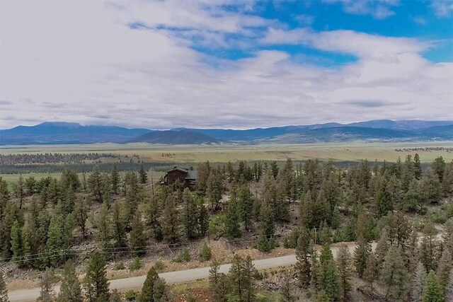 225 Trout Creek Rd, Fairplay, CO 80440 - photo 12