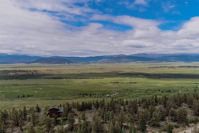 225 Trout Creek Rd, Fairplay, CO 80440 - photo 11
